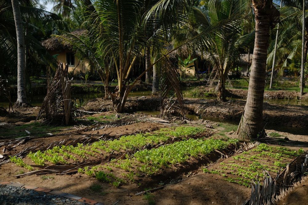 Mekong Home Ben Tre Экстерьер фото